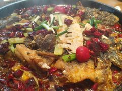 -老板恋上鱼(恒隆广场店)