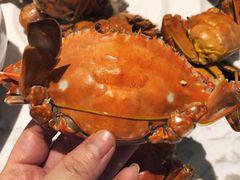 -半岛听涛蒸汽海鲜自助(K11店)