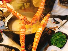 -鲜入围煮花胶鸡海鲜火锅