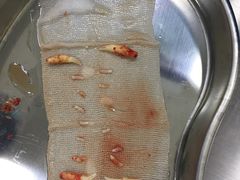 -爱妮康宠物医院·干细胞免疫细胞·肿瘤·心脏(张江店)