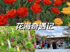 -沈阳植物园