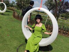 -荷兰花海