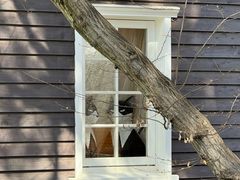 -三鹰之森吉卜力美术馆