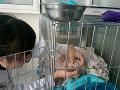 -康乐宝动物医院