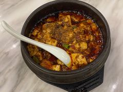 -陈麻婆豆腐总店