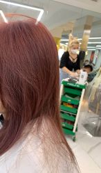 -潘多拉Hairsalon