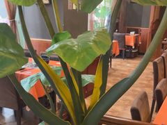 -荷花泰菜(东方新天地店)