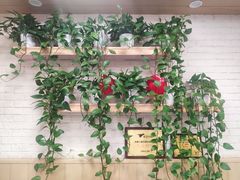 -华莱士·炸鸡汉堡(奥林花园店)