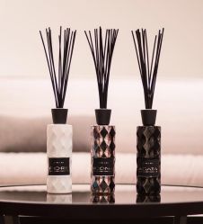 -SCENT BOUTIQUE
