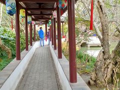-上海醉白池公园