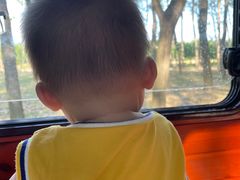 -合肥滨湖国家森林公园