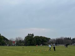 -昆山城市生态森林公园