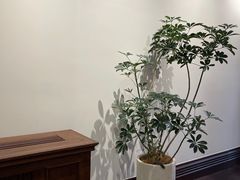 -华山263老字号品牌馆