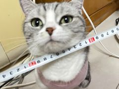 -达爱动物医院·犬猫分区·CT·复杂眼科(远洋山水分院)