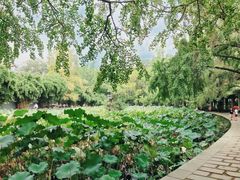 -四川大学(华西校区)