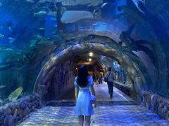 -华夏文旅海洋公园