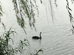 -江南大学(蠡湖校区)