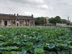 -资政大夫祠