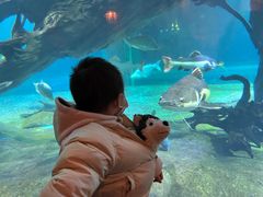 -华夏文旅海洋公园