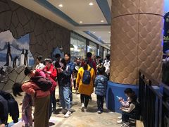 -帝企鹅自助餐厅•儿童岛•真企鹅(长隆企鹅酒店)