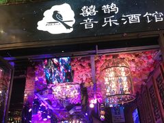 -喜鹊音乐酒馆(西街店)