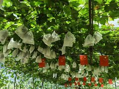 -大泽山风景名胜区