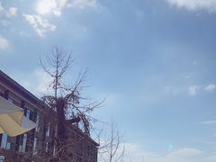 -逸廊大堂吧-下午茶·简餐-千岛湖自由洲际殿