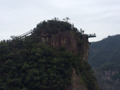 -龙湾潭国家森林公园