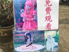 -松山湖梦幻百花洲