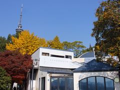 -食膳公园包子铺(烈士公园店)