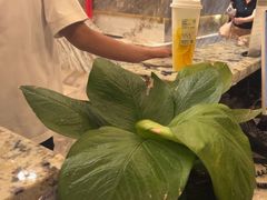 -铂尔登智慧酒店(南山西丽地铁站店)
