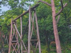 -大奇山国家森林公园