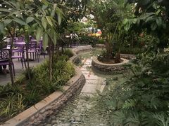 -南宫五洲植物乐园