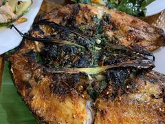 香茅草烤鱼-双胞傣味菜馆