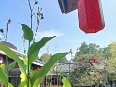 -凤凰山斑鱼馆(恭城店)