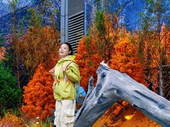 -首开·龙湖成都西宸天街