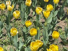 -长春公园(普阳街道)