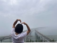 -星海湾跨海大桥