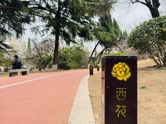 -西苑公园