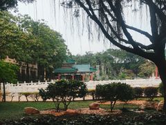 -广东圆玄道观