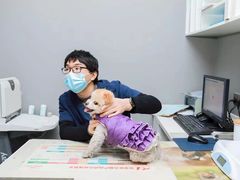 -关爱宠物医院·猫科中心·消化科(滨湖万达分院)
