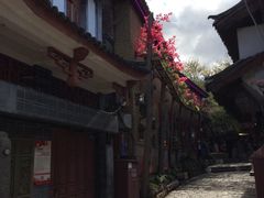 -小厨子私房菜·云南美食店