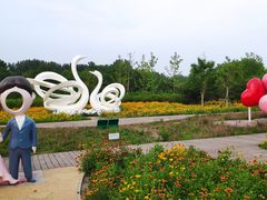 -东郊湿地公园