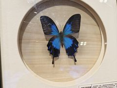 -深圳龙华星河COCO City(民治店)