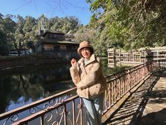 -云南屏边大围山国家公园