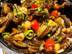 鳝鱼煲-房陵农家(东亭店)
