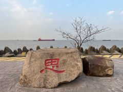 -上海滨江森林公园