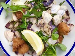 clams-The Grounds of Alexandria