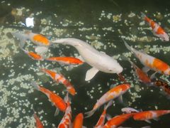 -聚缘堂·海鲜私房菜(松岭路店)
