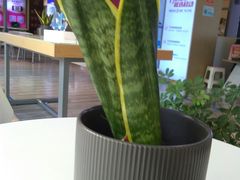 -中国移动(萧山梅花楼营业厅)